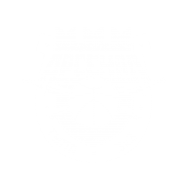 Арсенал-Лары