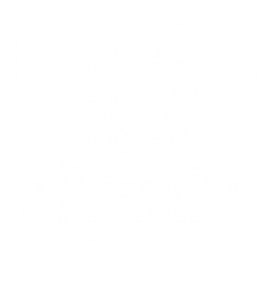 Khimki Power
